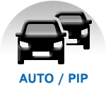 AUTO / PIP